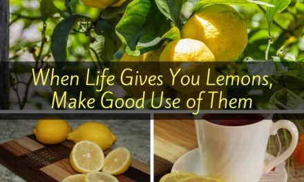 When Life Gives You Lemons, Make Good Use of Them