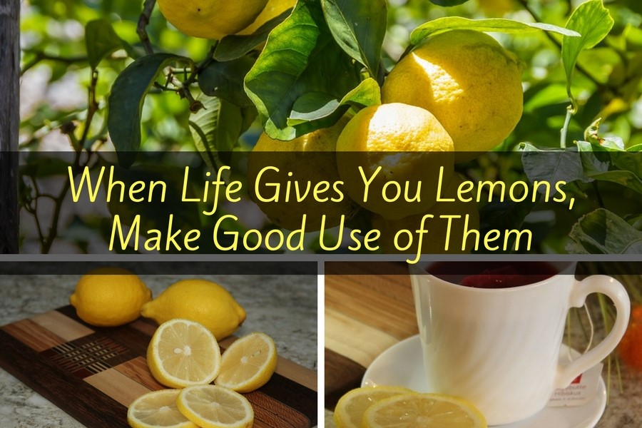 When Life Gives You Lemons, Make Good Use of Them