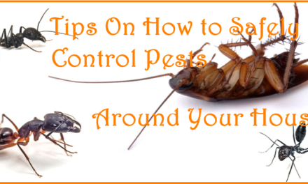 Tips On How to Safely Control Pests Around Your House