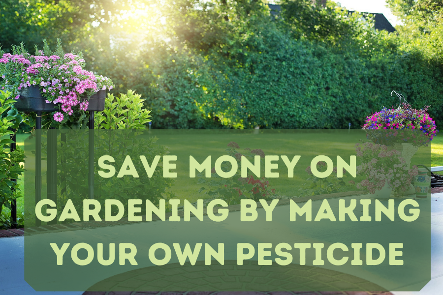 Save Money on Gardening by Making Your Own Pesticide